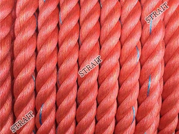 0.5 mm Polypropylene Sheet